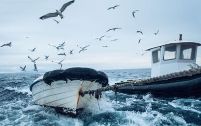 Navigating the Most Common Boat Insurance Claims