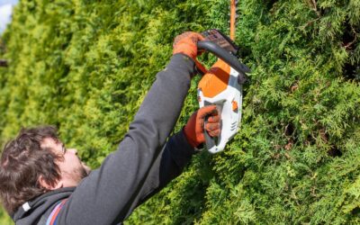 Fall Yard Work Hazards & Home Insurance